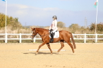 SBM_009160