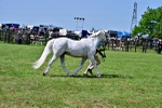 SBM_03900