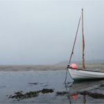 3rd John Whitehurst Scott Free misty morning Newport