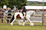 SBM_06116