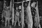 THE BUTCHERING