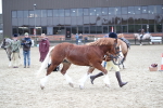 SBM_007277