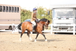 SBM_06825