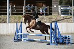 BVRC SJ 170319 235