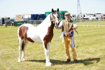 SBM_05532