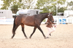 SBM_16378