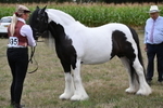 WJ6_5482