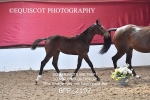 BPP_2197