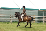SBM_06846