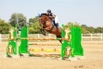 SBM_002095