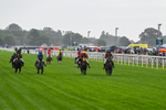 060926-Shetland Pony Race-Claredale Edward-6018