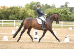 SBM_006860
