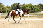SBM_010534