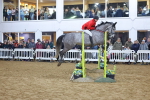 SBM_003447