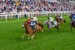190826-Race 6-Miss Yechance-0728