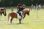 SBM_05409