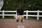 Cls 5 Best Purebred portfolio