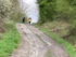 004 Through Bratt Wood  straining for the top