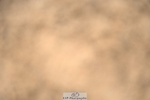 240317A-104140-04988