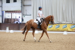 SBM_009279