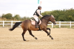 SBM_007580