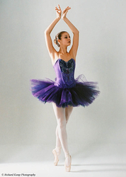 Performance portfolio