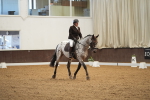 SBM_001939