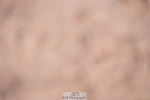 240505A-160720-07110