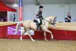 SBM_23228