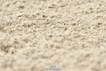 230701A-150936-06886