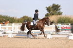 SBM_01866