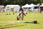 SBM_12694