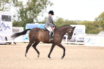 SBM_11703