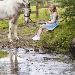Equine Photo Shoot 9