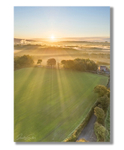 Jolly Tar Lane Sunrise