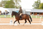 SBM_01545