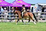 SBM_06042