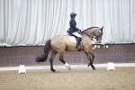 SBM_007254