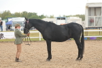 SBM_07908