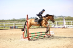 SBM_000503