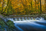 Tollymore Forest Park, Northern Ireland.