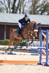 Class 5 - Pony Discovery portfolio