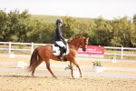 SBM_016909