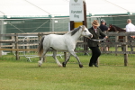 SBM_00515