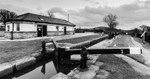 Between Bridges 53 and 54, Macclesfield Canal