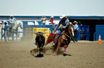 3HRodeo8-11-25_PRCASteer_06549_