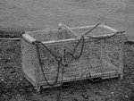 Cage, Thames Beach (b&w)