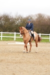 SBM_001603