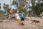 Out of Lightning Ridge portfolio