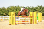 SBM_002226